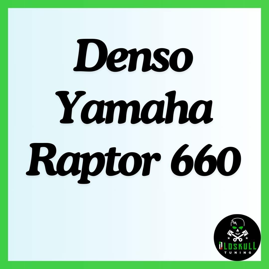 Denso Yamaha Raptor 660