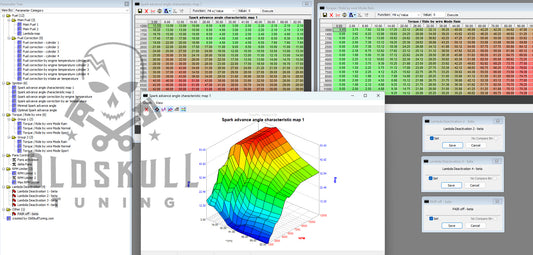 QJ_Motor_SRK800RR_Marelli_11MQ ecu tuning with tunerpro xdf