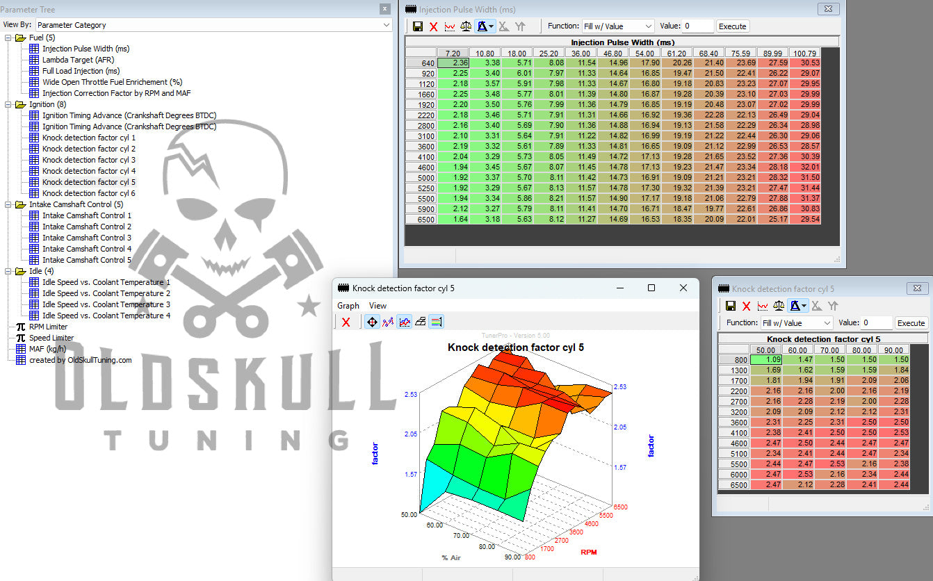 TunerPro XDF definition for BMW with Siemens MS41