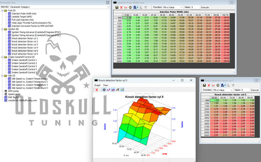 TunerPro XDF definition for BMW with Siemens MS41