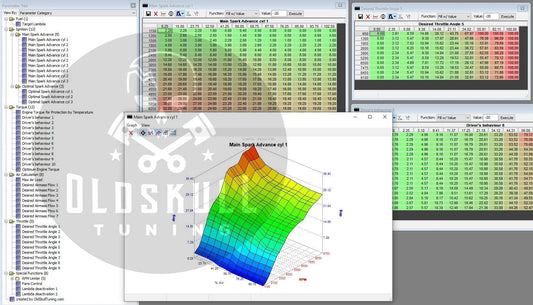 XDF TunerPro definition for Arctic Cat WildCat 1000 with ecu Continental M3D.