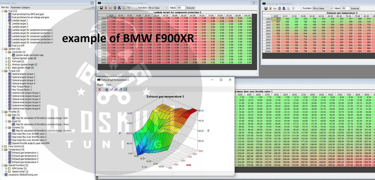 BMW with ecu Bosch ME17.2.4 BMS-ME remap