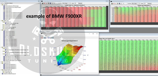 BMW with ecu Bosch ME17.2.4 BMS-ME remap