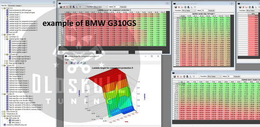 BMW with ecu Bosch ME17.2.4 BMS-ME chiptuning