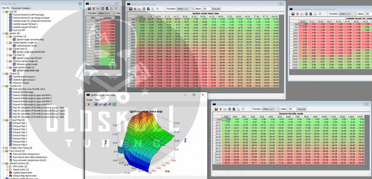 BMW with ecu Bosch ME17.2.4 BMS-MP remap