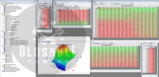 BMW with ecu Bosch ME17.2 BMS-X chiptuning