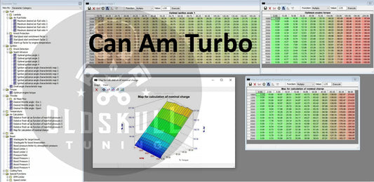 Can Am quad with ecu Bosch ME17.8.5 ecu tuning