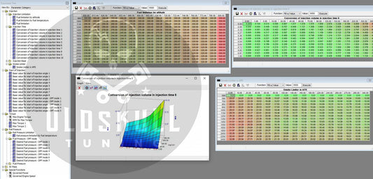 TunerPro xdf definition file for USA Truck with ecu Temic DDEC6.