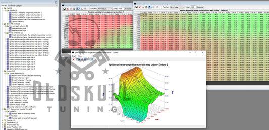 Ducati with ecu Bosch ME17.9.21 chiptuning