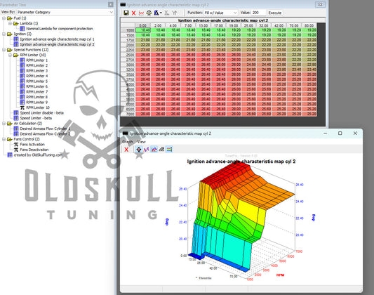 remap ecu continental vitesco m3c kawasaki mule