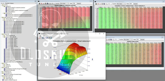 Suzuki with ecu Bosch ME17.9.64 ecm remap